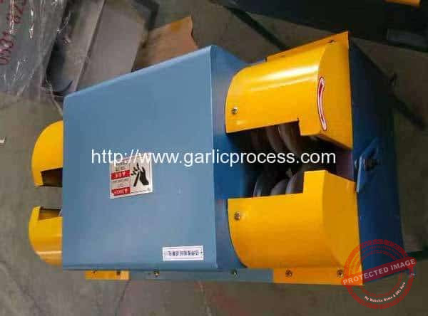 Garlic-Root-and-Leaf-Cutting-Machine-for-Canada-Customer